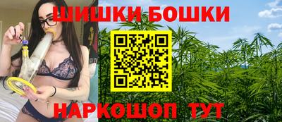 сатива Новозыбков
