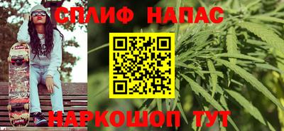 СК Новокубанск