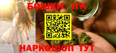 СК Новокубанск