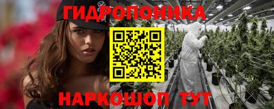 сатива Новозыбков
