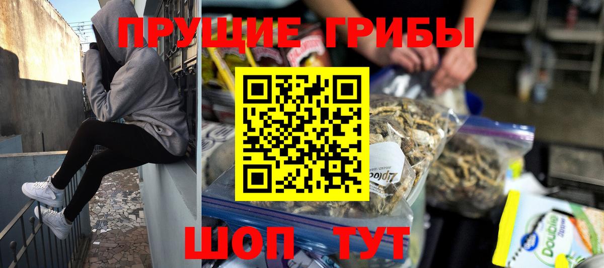 Галлюциногенные грибы прущие грибы Улан-Удэ