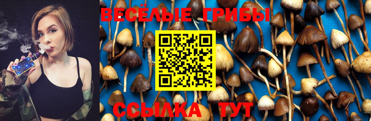 Псилоцибиновые грибы Psilocybine cubensis  Галлюциногенные грибы мицелий  Улан-Удэ  Вход с VPN 